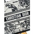 Borsa tote Dior piccola/media Oblique ricamata con stampa animalier bianca