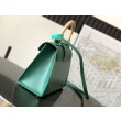 Borsa a mano strutturata Goyard Saigon PM Verde