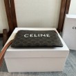 Piccola pochette Celine con tracolla tela Triomphe
