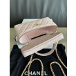 Borsa Chanel Classic Vanity con catena A96186 Rosa