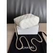 Borse hobo Chanel 25A Caviar Lunch Box Bianco