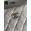 Borse hobo Chanel 25A Caviar Lunch Box Bianco