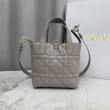 Qualità superiore replica tote verticale Dior Toujours piccola Grigia
