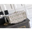 Borse Chanel 25 piccola Hobo tweed multicolore AS5631 bianca