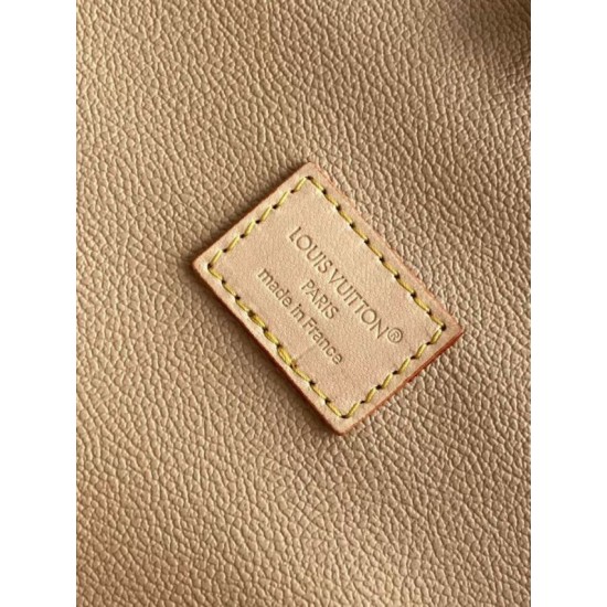 Cloni Dynamic 163 Borsa media per cani Louis Vuitton Neverwoof M27847 Imitazioni firmate