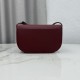 Replica di lusso Borsa a tracolla Dior Médaillon 23cm M3920 Borgogna Imitazioni Cloni Borsa a tracolla Dior Médaillon 23cm M3920 Borgogna firmate