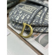 Borsa Replica 1:1 a tracolla Dior Saddle Oblique ricamata grigia Borsa Replica 1:1 a tracolla Dior Saddle Oblique ricamata grigia