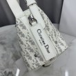Bora Pari all'originale replica a tracolla piccola Dior D-Journey M2416 beige/grigio