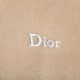 Sito Replica Borse Imitazioni Diorly Dior medio Custian Hobo 26s scamosciata di vitello beige Imitazioni Replica perfette Borse Imitazioni Diorly Dior medio Custian Hobo 26s scamosciata di vitello beige