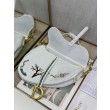 Borse Replica Alta Qualità a tracolla Dior Saddle ricamata bianca
