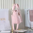 Borsa piccola verticale Dior Toujours M2835 rosa