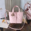 Borsa piccola verticale Dior Toujours M2835 rosa