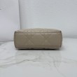 Pochette Dior Travel Nomad S2613 albicocca