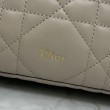 Pochette Dior Travel Nomad S2613 albicocca
