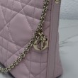 Pochette Dior Travel Nomad S2613 Rosa