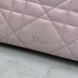 Pochette Dior Travel Nomad S2613 Rosa