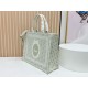 Replica di alta qualità Borsa a mano Dior Book Tote Médaillon con ricamo a trifoglio verde chiaro Replica Perfetta Borsa a mano Dior Book Tote Médaillon con ricamo a trifoglio verde chiaro Imitazione Falsa