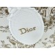 Replica di alta qualità Borsa Dior Dioriviera Book Tote piccola/media/grande con ricamo floreale Marrone Replica Perfetta Borsa Dior Dioriviera Book Tote piccola/media/grande con ricamo floreale Marrone Imitazione Falsa