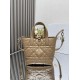 Replica perfetta Borsa tote verticale  Dior Toujours Marrone