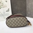 Borsa Ophidia Piccola GG 550621