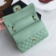 Borsa classica con patta A1112 Hardware argento verde chiaro