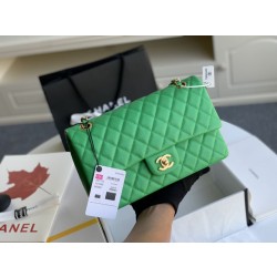 Imitazione Borsa classica con patta A1112 Hardware argento verde chiaro