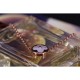 Riproduzione Fedele Alta gamma replica Color Blossom Sun Pendant Q93520 imitazioni Replica Alta Qualità Alta gamma replica Color Blossom Sun Pendant Q93520