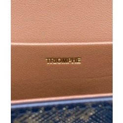 Celine Borse Firmate Replica A Tracolla Catena Triomphe In Tela Triomphe Caffè