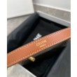 Celine Mini Ava In Tela Triomphe E Pelle Di Vitello Marrone