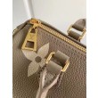 Papillon BB Bag M46031