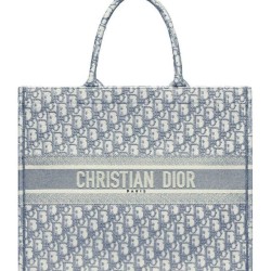 Cloni Firmate Tote libro Christian Dior con ricamo obliquo Dior grigio imitazioni