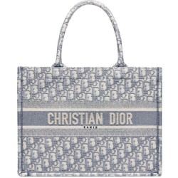 Cloni Firmate Borsa tote Christian Dior con ricamo obliquo Dior grigia imitazioni