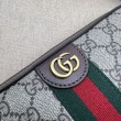 Borse Replica Alta Qualità a tracolla Gucci Ophidia GG 699439 Marrone