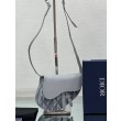 Dior Mini Saddle CD Diamond Canvas Borsa da uomo grigia
