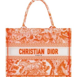 Christian Dior Medium Dior Book Tote arancione