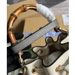 Mini borsa a secchiello Gucci Diana 724667 bianca