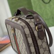 Borsa a tracolla piccola Gucci Ophidia con nastro Web 739392 Marrone