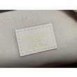 Imitazioni borse griffate LV Seedy Bandoulière 20 M46518 Monogram Empreinte