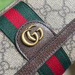 Borsa mini Gucci Ophidia GG 746308 Marrone