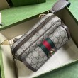 Borsa mini Gucci Ophidia GG 746308 Marrone