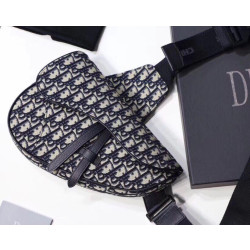 Christian Dior Saddle Belt Borse Replica da uomo in tela obliqua