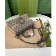 Borse Replica a mano piccola Gucci Dionysus 739496 Albicocca