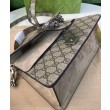 Borse Replica a mano piccola Gucci Dionysus 739496 Albicocca