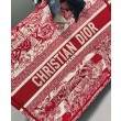 Christian Dior Borsa media a libro rossa