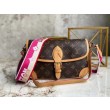 LV Diane Satchel M46049