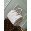 Borsa LV Speedy Bandoulière 25 M22987