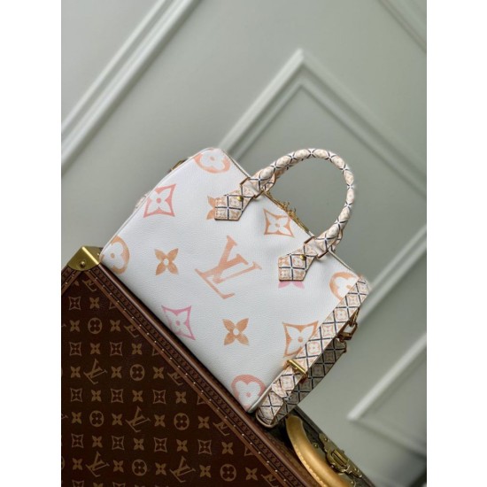 Borsa LV Speedy Bandoulière 25 M22987