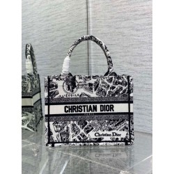 Imitazioni borse griffate tote Dior piccola a libro Plan de Paris ricamata bianca