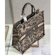 Christian Dior Borsa tote grande Dior Book color albicocca