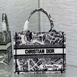 Sito Replica Imitazioni borse griffate tote Dior piccola a libro Plan de Paris ricamata bianca imitazioni Miglior Prezzo Imitazioni borse griffate tote Dior piccola a libro Plan de Paris ricamata bianca Replica